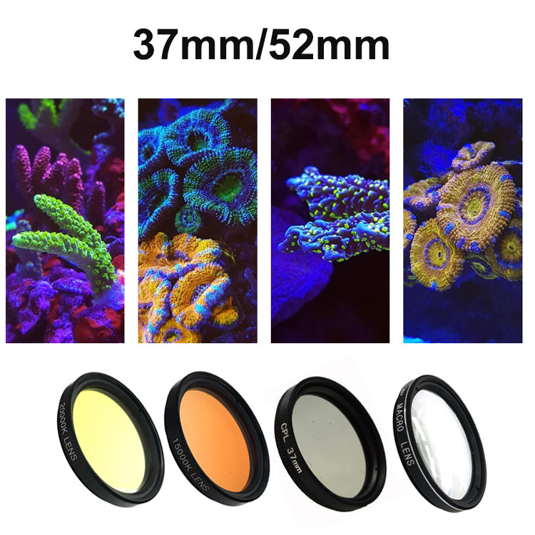 Mavi Işık, Su Deposu, Deniz Ma - Photography Lighting Set incelemesi ve fiyatı